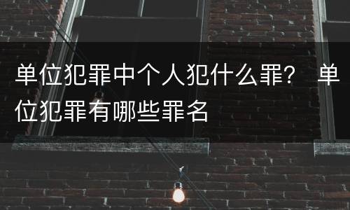 单位犯罪中个人犯什么罪？ 单位犯罪有哪些罪名