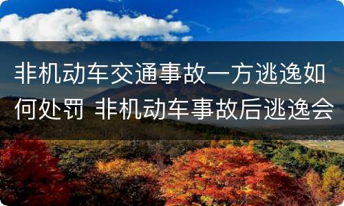 非机动车交通事故一方逃逸如何处罚 非机动车事故后逃逸会有什么结果