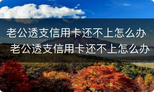 老公透支信用卡还不上怎么办 老公透支信用卡还不上怎么办呢