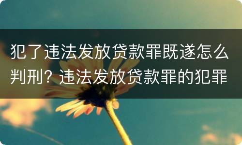 犯了违法发放贷款罪既遂怎么判刑? 违法发放贷款罪的犯罪构成