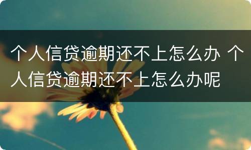 个人信贷逾期还不上怎么办 个人信贷逾期还不上怎么办呢