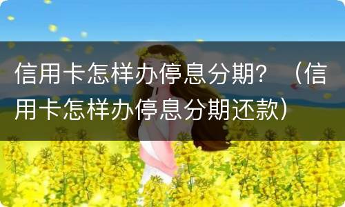 信用卡怎样办停息分期？（信用卡怎样办停息分期还款）