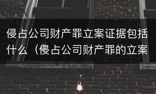 侵占公司财产罪立案证据包括什么（侵占公司财产罪的立案标准）