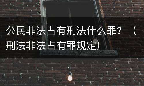 公民非法占有刑法什么罪？（刑法非法占有罪规定）