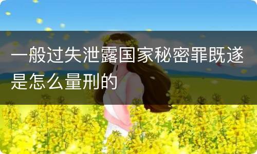 一般过失泄露国家秘密罪既遂是怎么量刑的