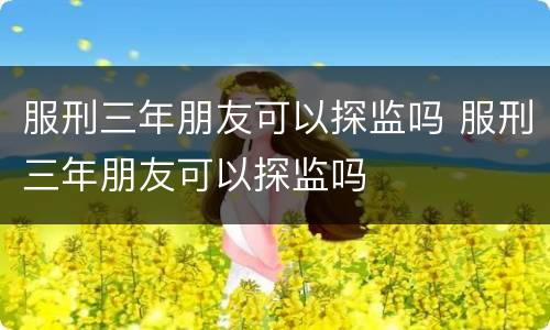 服刑三年朋友可以探监吗 服刑三年朋友可以探监吗