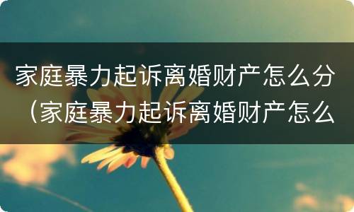 家庭暴力起诉离婚财产怎么分（家庭暴力起诉离婚财产怎么分配）