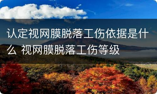 认定视网膜脱落工伤依据是什么 视网膜脱落工伤等级