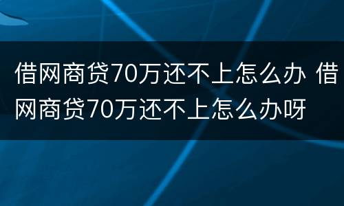 借网商贷70万还不上怎么办 借网商贷70万还不上怎么办呀