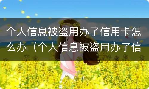 个人信息被盗用办了信用卡怎么办（个人信息被盗用办了信用卡怎么办理）