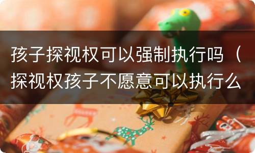 孩子探视权可以强制执行吗（探视权孩子不愿意可以执行么）