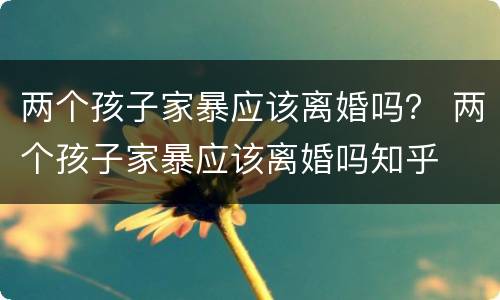 两个孩子家暴应该离婚吗？ 两个孩子家暴应该离婚吗知乎