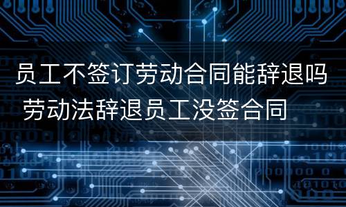 员工不签订劳动合同能辞退吗 劳动法辞退员工没签合同