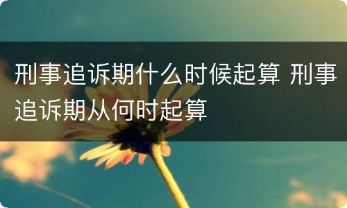 刑事追诉期什么时候起算 刑事追诉期从何时起算