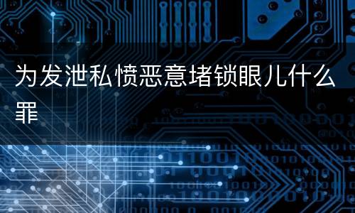 为发泄私愤恶意堵锁眼儿什么罪
