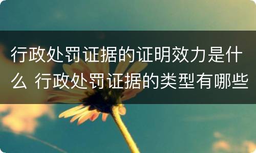 行政处罚证据的证明效力是什么 行政处罚证据的类型有哪些