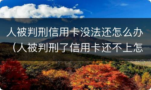 人被判刑信用卡没法还怎么办（人被判刑了信用卡还不上怎么办）