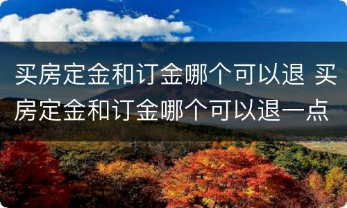买房定金和订金哪个可以退 买房定金和订金哪个可以退一点