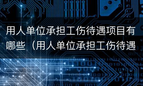 用人单位承担工伤待遇项目有哪些（用人单位承担工伤待遇项目有哪些要求）
