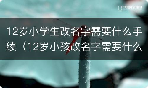 12岁小学生改名字需要什么手续（12岁小孩改名字需要什么手续）