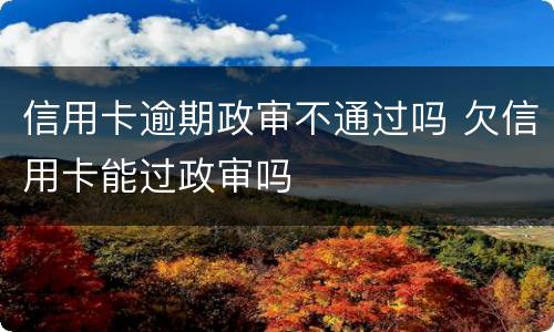 信用卡逾期政审不通过吗 欠信用卡能过政审吗