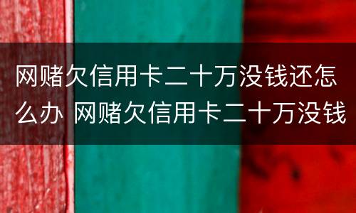 网赌欠信用卡二十万没钱还怎么办 网赌欠信用卡二十万没钱还怎么办理