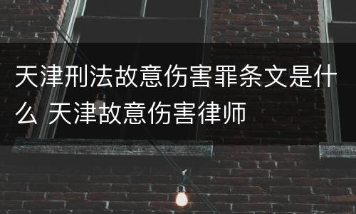 天津刑法故意伤害罪条文是什么 天津故意伤害律师