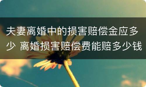 夫妻离婚中的损害赔偿金应多少 离婚损害赔偿费能赔多少钱