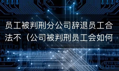 员工被判刑分公司辞退员工合法不（公司被判刑员工会如何）