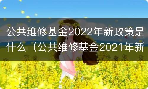 公共维修基金2022年新政策是什么（公共维修基金2021年新政策）