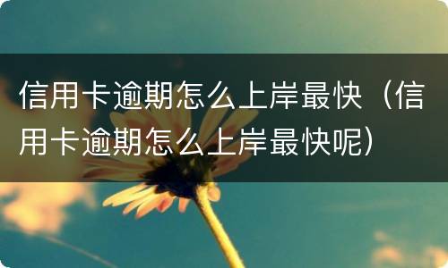 信用卡逾期怎么上岸最快（信用卡逾期怎么上岸最快呢）