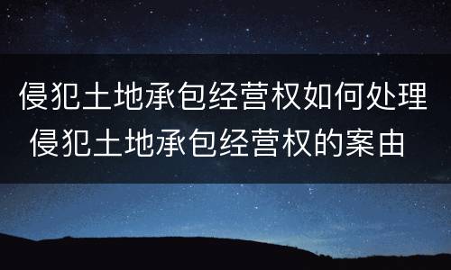 侵犯土地承包经营权如何处理 侵犯土地承包经营权的案由
