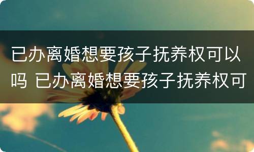 已办离婚想要孩子抚养权可以吗 已办离婚想要孩子抚养权可以吗怎么办