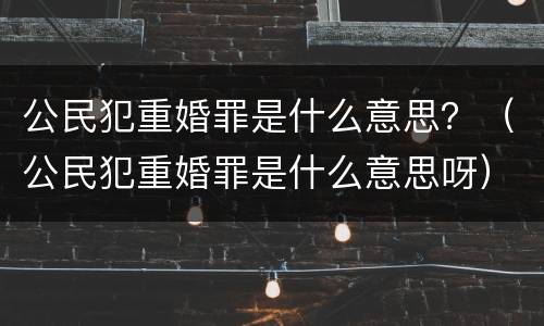 公民犯重婚罪是什么意思？（公民犯重婚罪是什么意思呀）