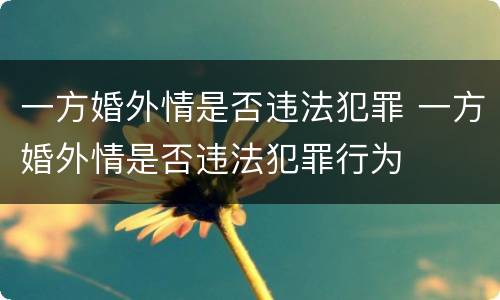 一方婚外情是否违法犯罪 一方婚外情是否违法犯罪行为