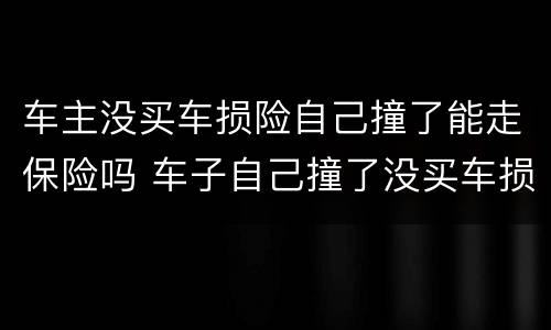 车主没买车损险自己撞了能走保险吗 车子自己撞了没买车损险能赔吗