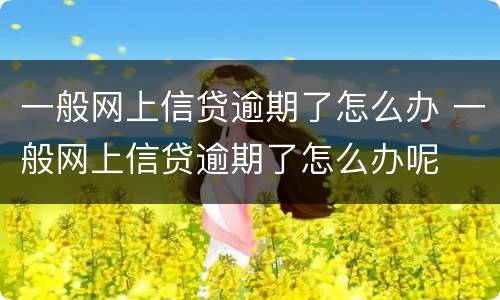 一般网上信贷逾期了怎么办 一般网上信贷逾期了怎么办呢