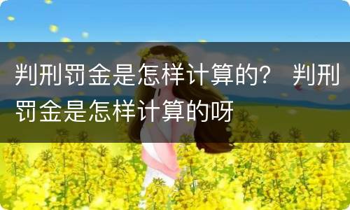 判刑罚金是怎样计算的？ 判刑罚金是怎样计算的呀