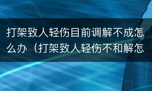 打架致人轻伤目前调解不成怎么办（打架致人轻伤不和解怎么办）