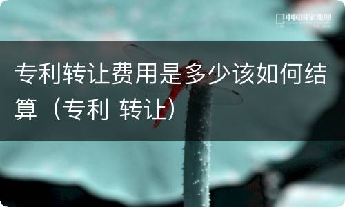 专利转让费用是多少该如何结算（专利 转让）