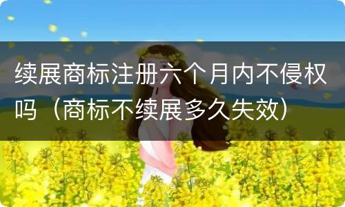 续展商标注册六个月内不侵权吗（商标不续展多久失效）