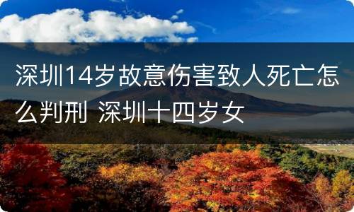 深圳14岁故意伤害致人死亡怎么判刑 深圳十四岁女