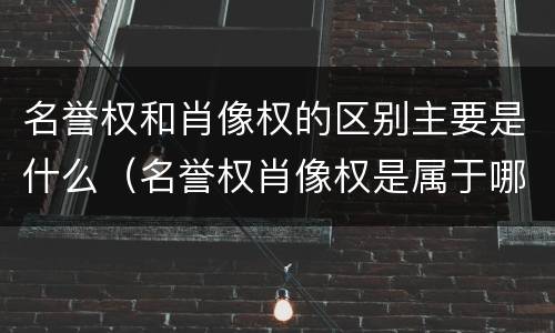 名誉权和肖像权的区别主要是什么（名誉权肖像权是属于哪一条法律）