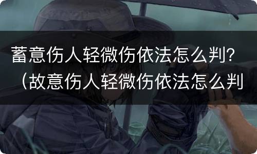蓄意伤人轻微伤依法怎么判？（故意伤人轻微伤依法怎么判）