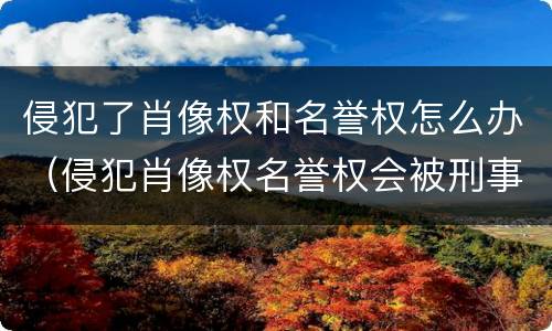 侵犯了肖像权和名誉权怎么办（侵犯肖像权名誉权会被刑事拘留么）