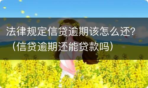 法律规定信贷逾期该怎么还？（信贷逾期还能贷款吗）