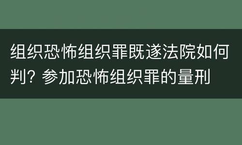 组织恐怖组织罪既遂法院如何判? 参加恐怖组织罪的量刑