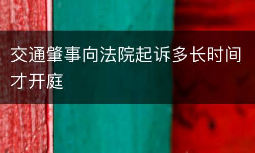 交通肇事向法院起诉多长时间才开庭