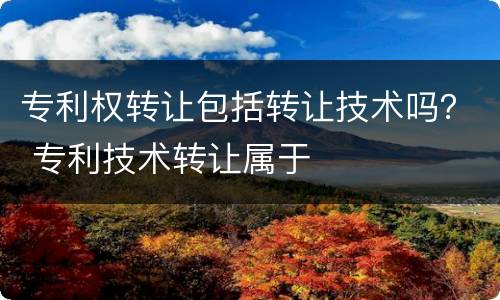 专利权转让包括转让技术吗？ 专利技术转让属于