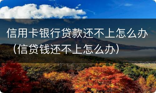 信用卡银行贷款还不上怎么办（信贷钱还不上怎么办）